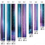 Drapery space thematics