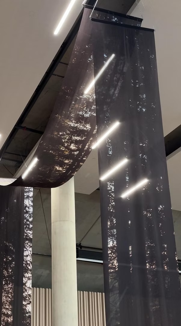 Drapery forest thematics