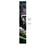 Netflix series–themed drapery