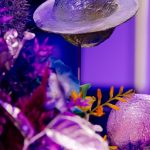 Planet table decoration