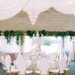 Transparent glasses with gold rim