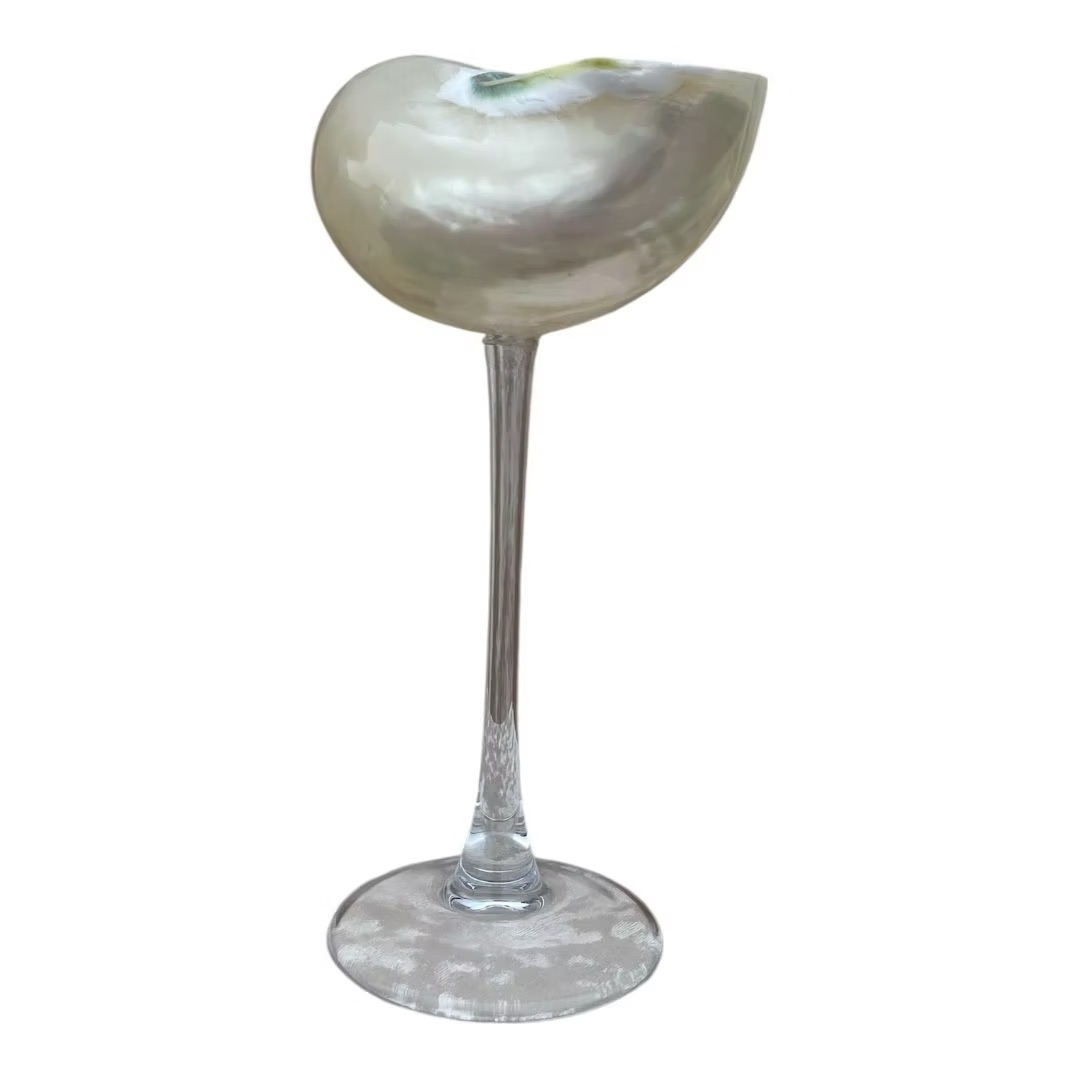 Glass for wine or champagne with a clamshell – 150 ml