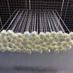 Crystal ceiling decoration with flowers