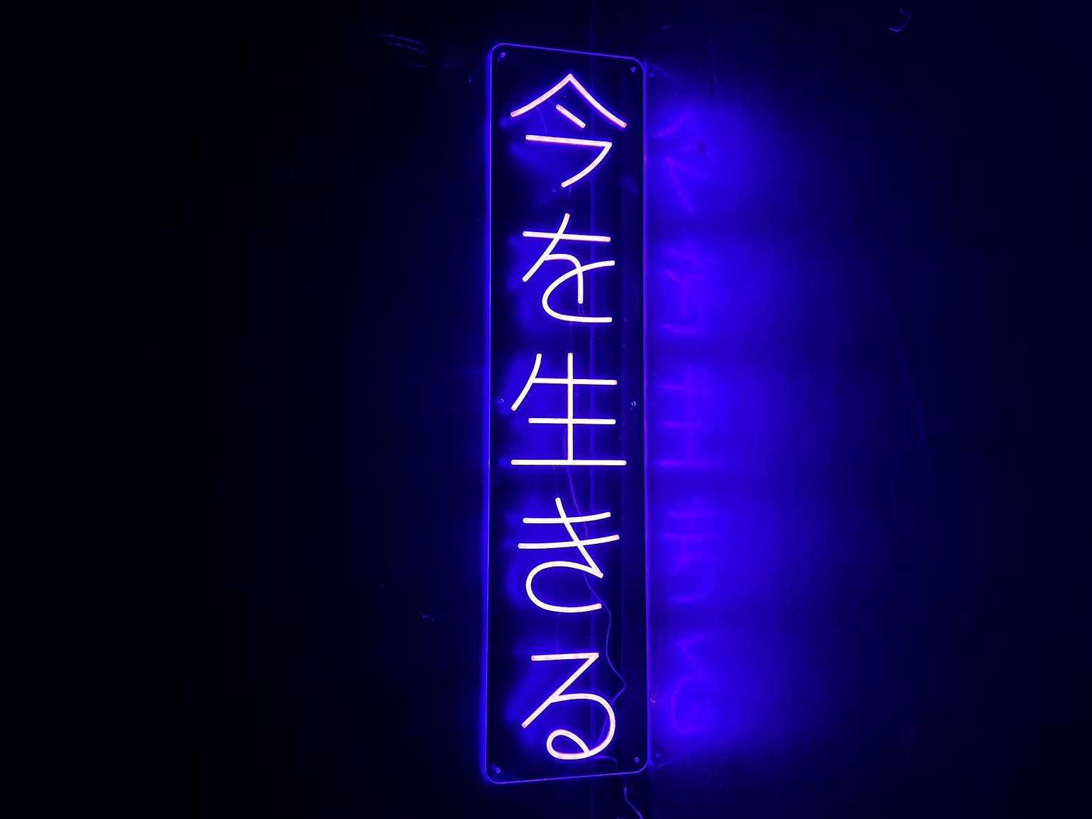 LED neon sign