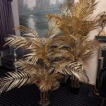 Golden Areca Palm
