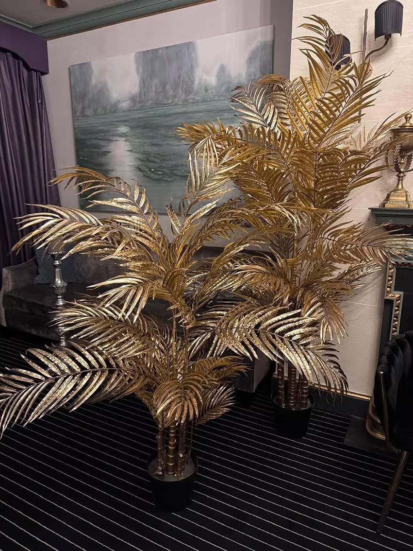 Golden Areca Palm