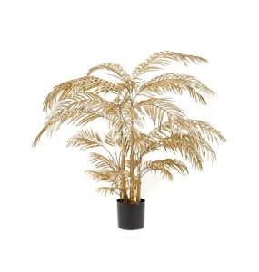 Golden Areca Palm