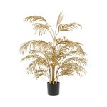 Golden Areca Palm