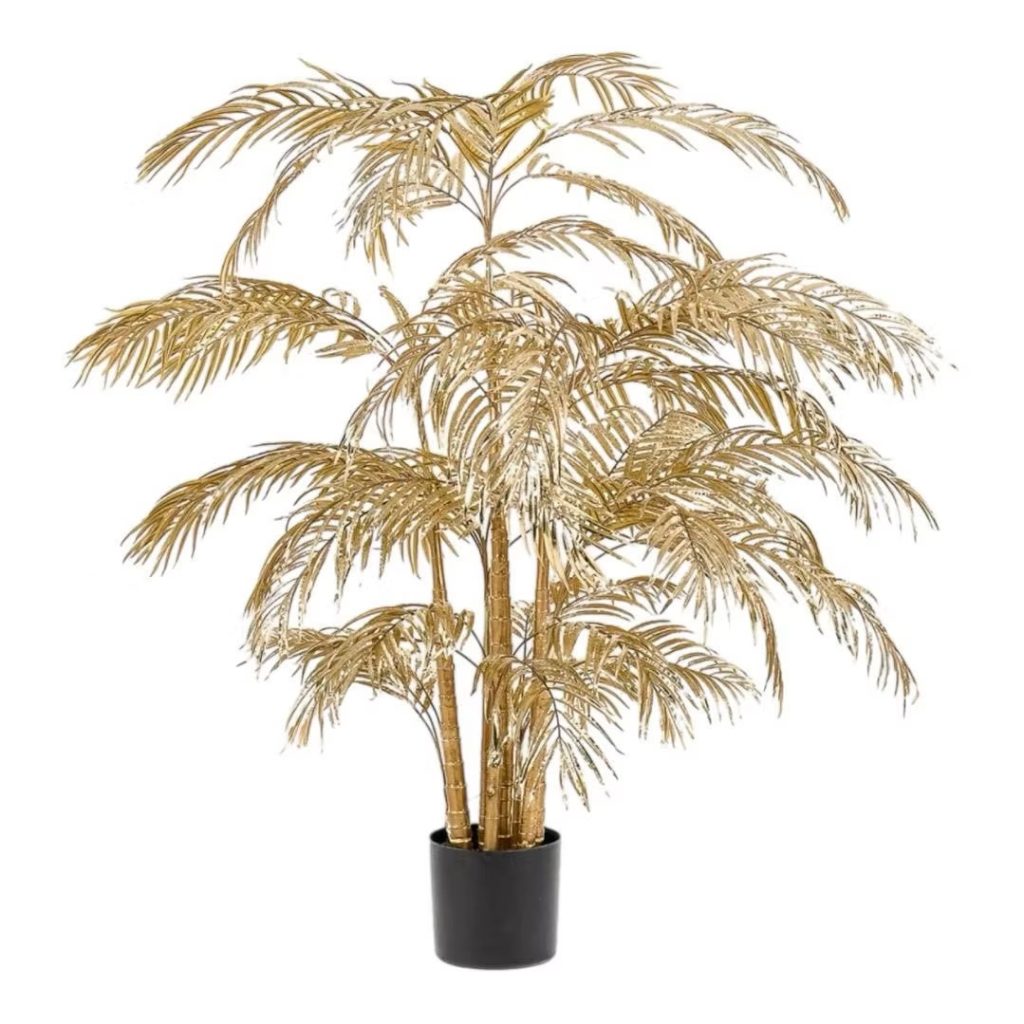 Golden Areca Palm