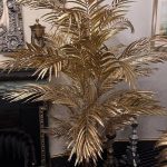Golden Areca Palm