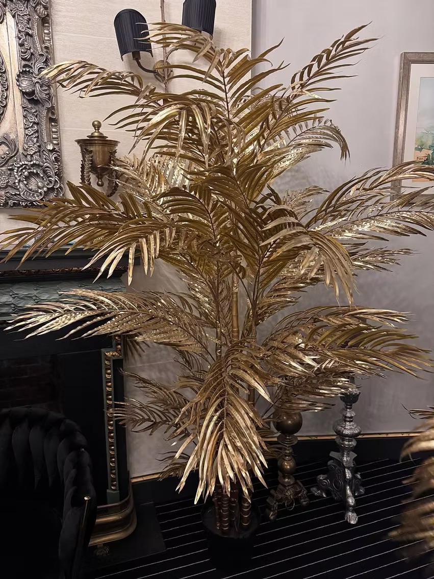 Golden Areca Palm