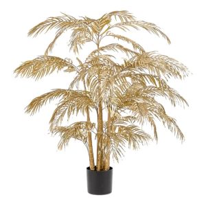 Golden Areca Palm