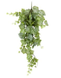 Grape leaf hanging bush