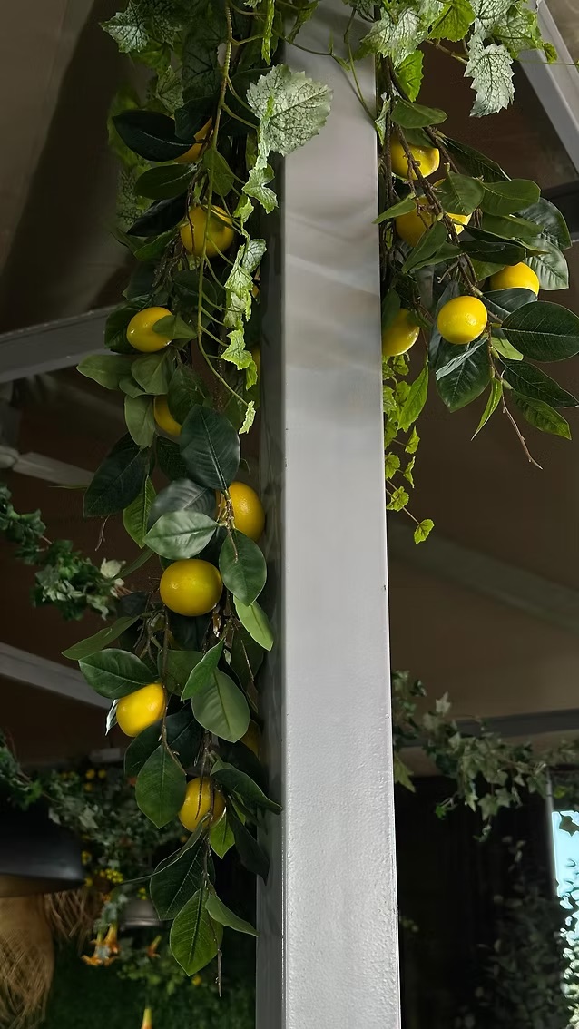 Lemon branch