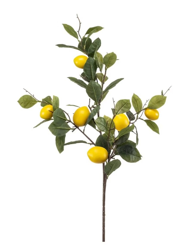 Lemon branch