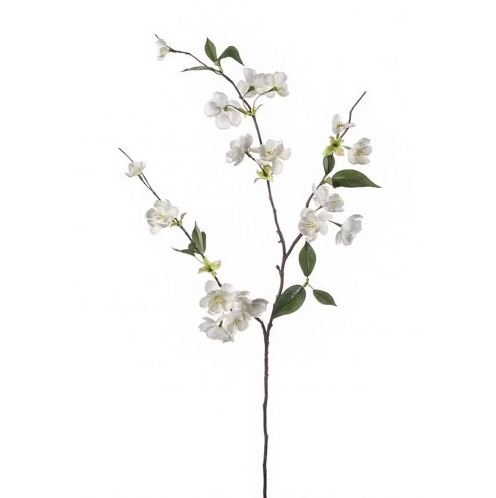 Peach Blossom cream branch