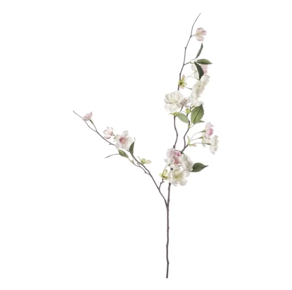 Peach Blossom cream and light pink branch