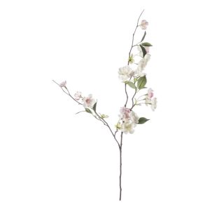 Peach Blossom cream and light pink branch