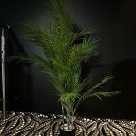 Artificial palm tree
