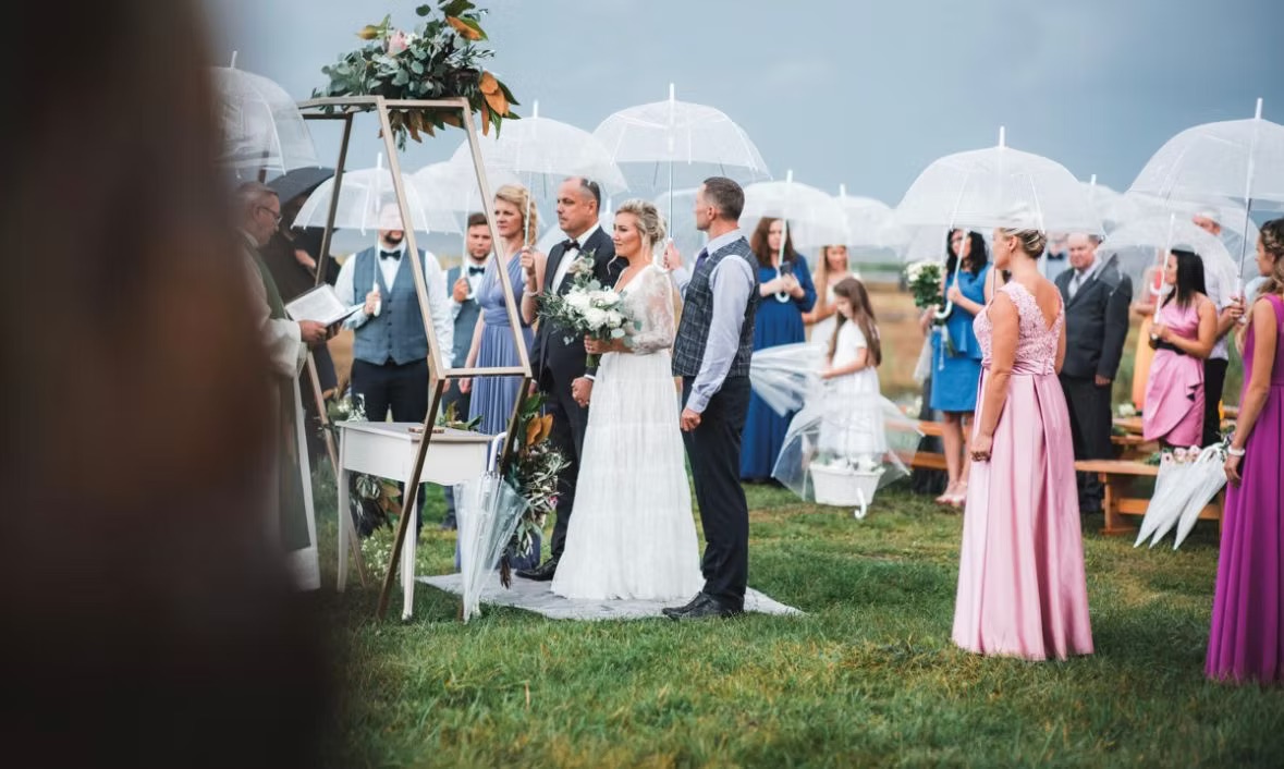 Transparent umbrella
