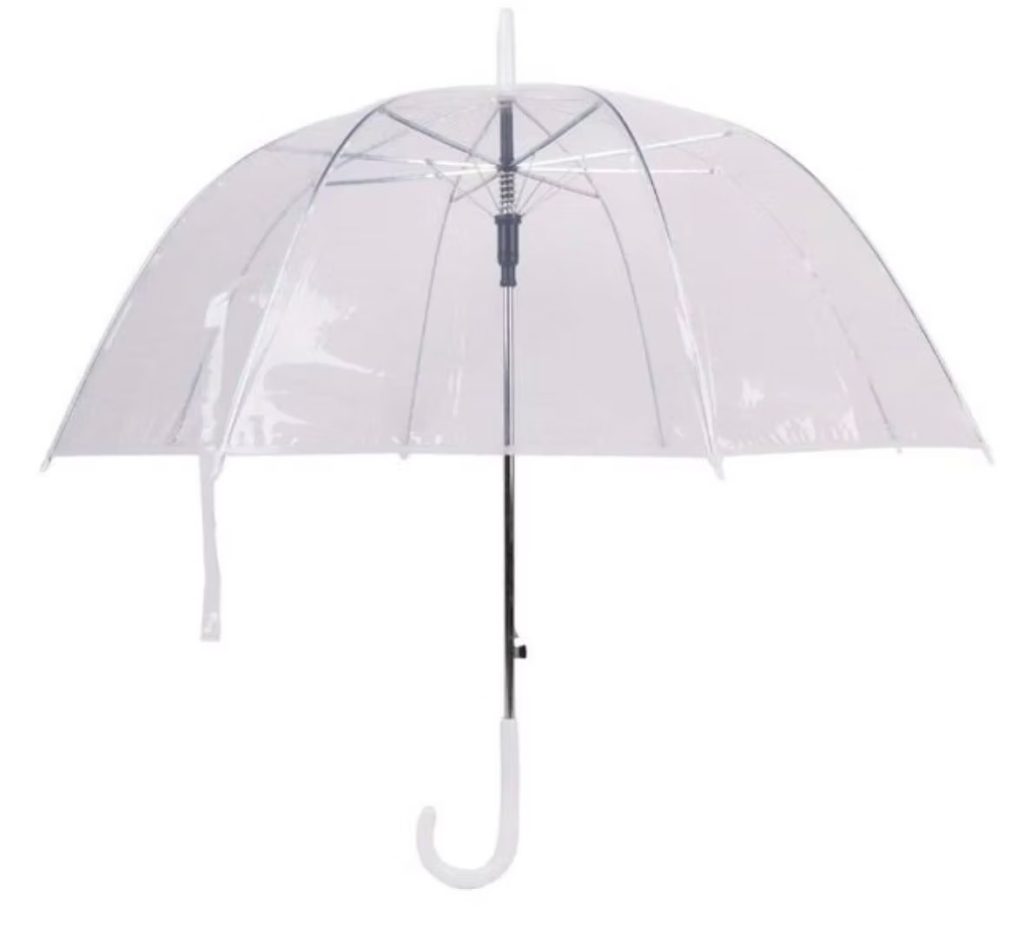 Transparent umbrella