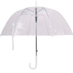Transparent umbrella