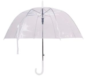 Transparent umbrella