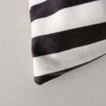 Black and white striped pillow