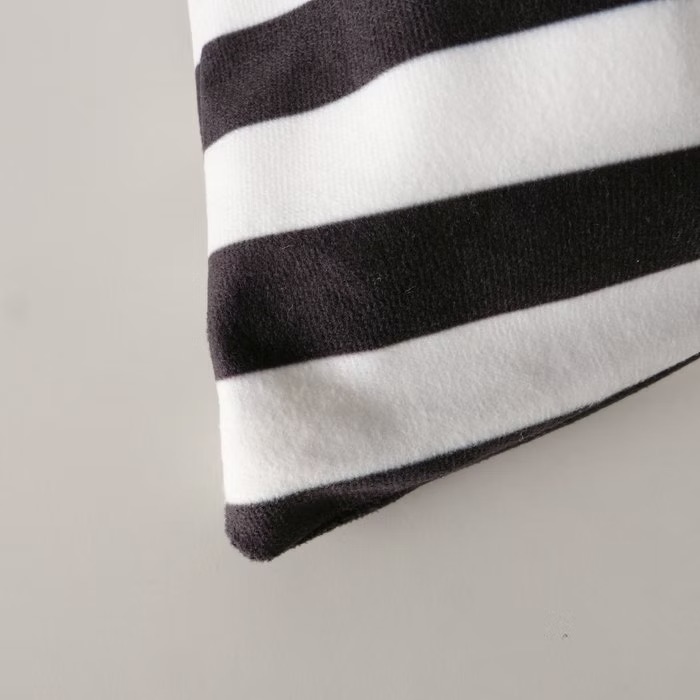 Black and white striped pillow