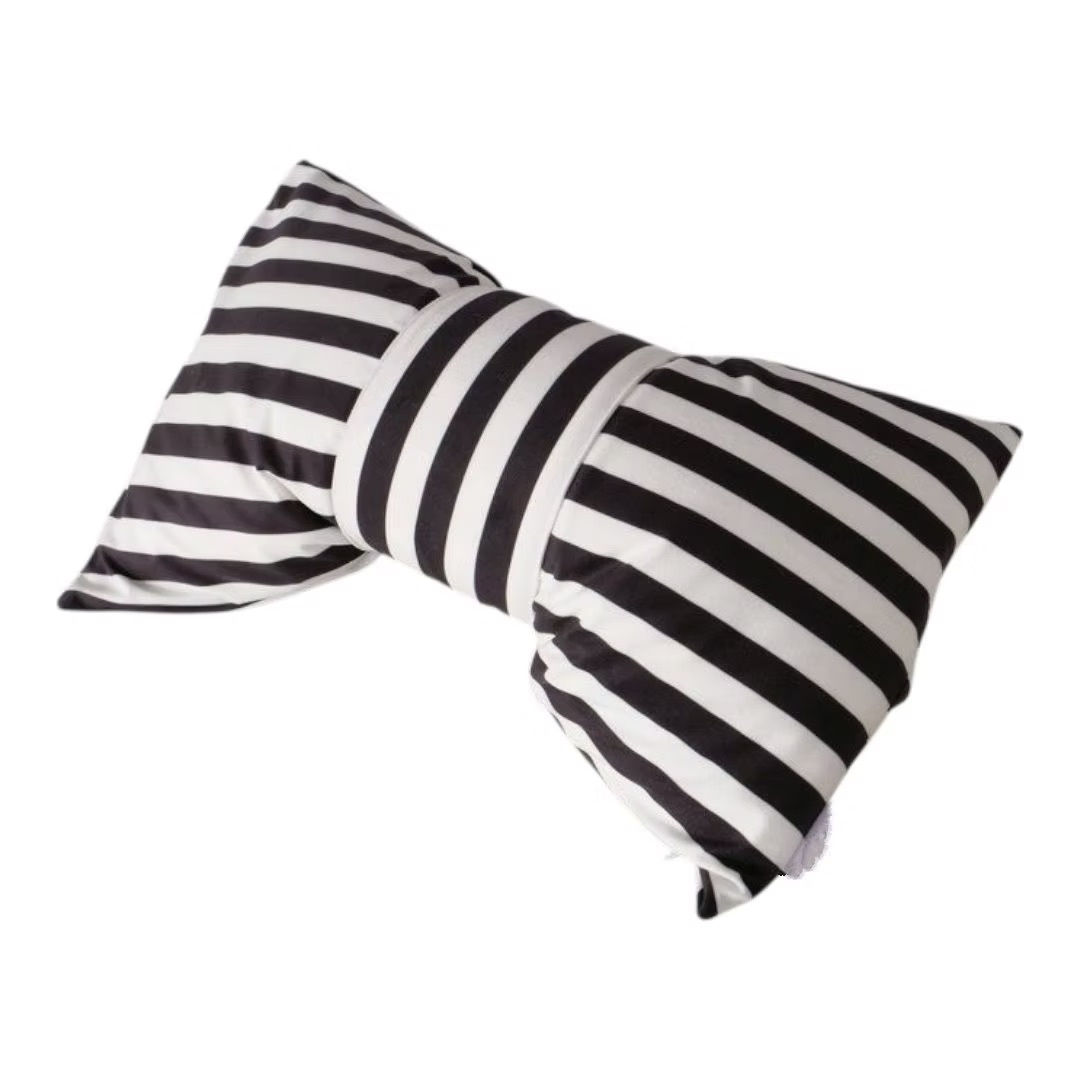 Black and white striped pillow